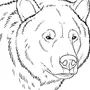 Рисунок Медведя Для Срисовки
