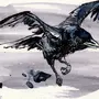 Ворона рисунок