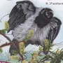 Рисунок ворона и рак