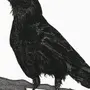Ворона Детский Рисунок