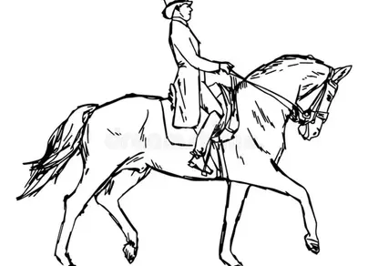 Всадник на коне рисунок
