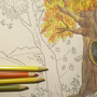 Цветные карандашики рисунок