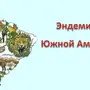 Южная Америка Рисунок