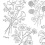 Рисунки Для Вышивки Цветы