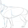 Рисунок собаки овчарки