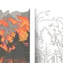 Рисунок Лес Пожар Беда