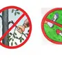 Рисунок правила поведения в лесу