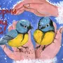 Покормите Птиц Зимой Рисунок