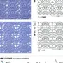Рисунок крючком схемы