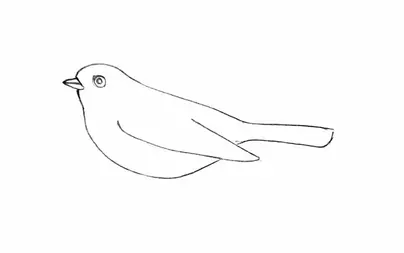Рисунки птиц для срисовки легкие и красивые