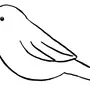 Рисунки Птиц Для Срисовки Легкие И Красивые