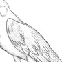 Рисунки птиц для срисовки легкие и красивые
