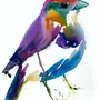 Рисунки птиц акварелью