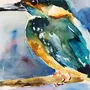 Рисунки птиц акварелью