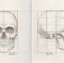 Череп Рисунок Анатомия