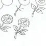 Как нарисовать розу