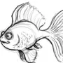 Рисунок рыбы карандашом для срисовки