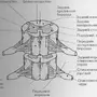 Строение спинного мозга рисунок 8 класс