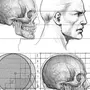 Строение Головы Человека Рисунок