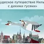 Категория Путешествие