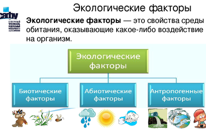 Рисунок экологические факторы среды