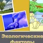 Категория Экология