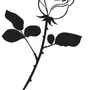 Роза рисунок черно белый
