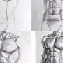 Анатомия Человека Рисунок Карандашом