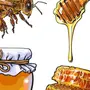 Роль пчелы в жизни человека рисунок