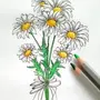 Ромашка рисунок карандашом