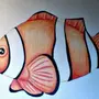 Рыба Клоун Рисунок