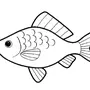 Рыба рисунок для детей