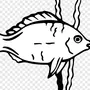Рисунок Рыбки Для Раскрашивания