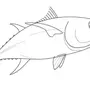 Рыбка Рисунок Карандашом