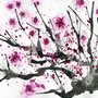 Сакура дерево рисунок