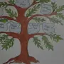 Как нарисовать древо семьи