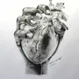 Сердце в руках рисунок