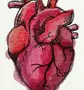 Как Нарисовать Сердце Человека