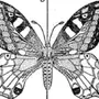 Симметричная Бабочка Рисунок