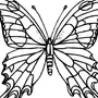 Симметричная Бабочка Рисунок