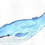 Синий кит рисунок