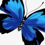Синяя бабочка рисунок