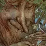 Сказки абрамцевского дуба рисунки
