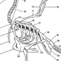 Рисунок Строения Скелета Голубя