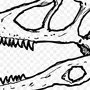 Скелет Динозавра Рисунок