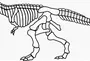 Скелет динозавра рисунок