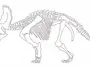 Скелет динозавра рисунок