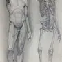 Скелет Рисунок Карандашом
