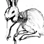 Череп кролика рисунок