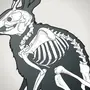 Череп кролика рисунок